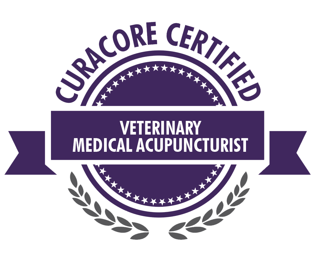 CuraCore Logo